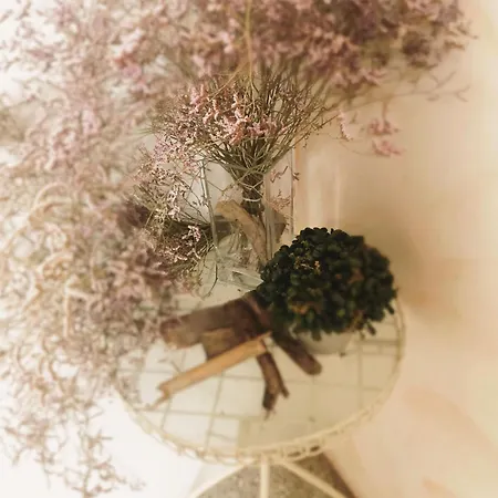 Lejlighed St Vincent *