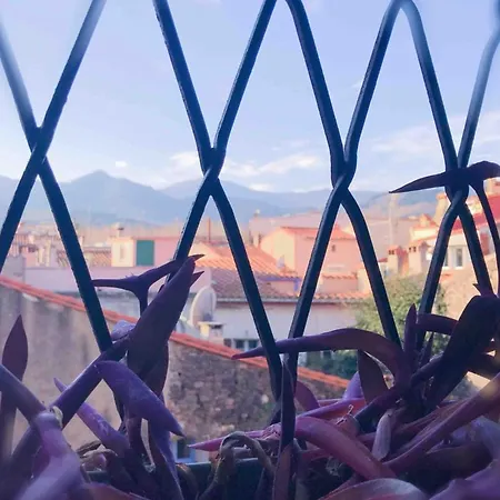 Lejlighed St Vincent Collioure