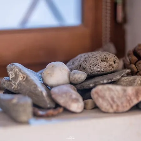 St Vincent Lejlighed Collioure