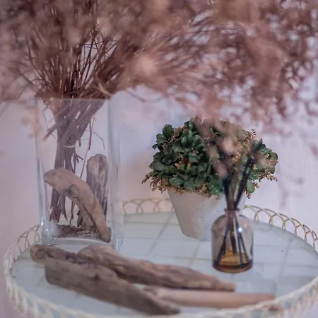 Lejlighed St Vincent Collioure