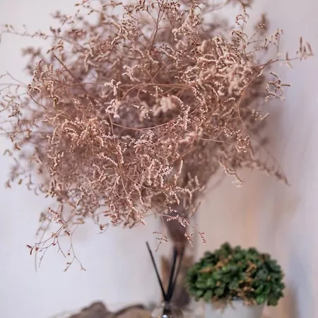 St Vincent Collioure