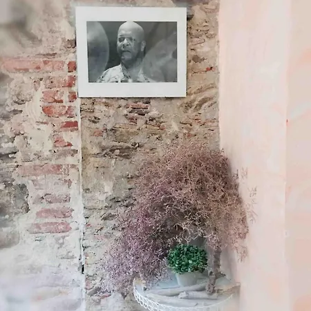 St Vincent * Collioure