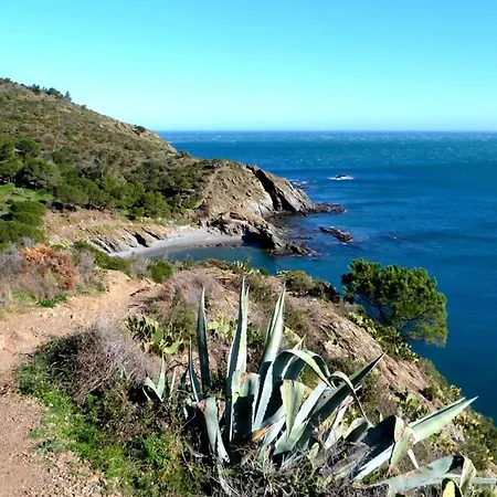 St Vincent * Collioure