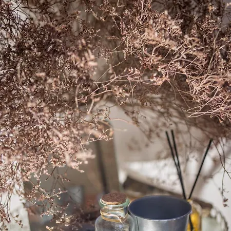 St Vincent * Collioure