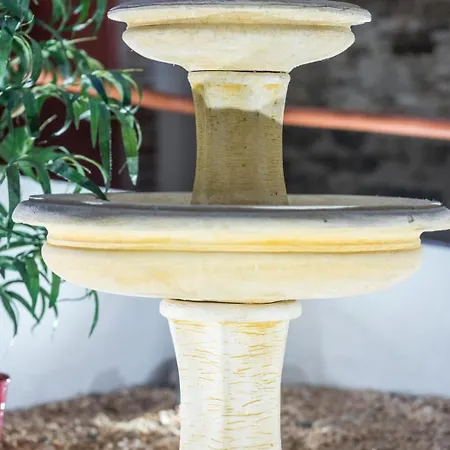 St Vincent * Collioure